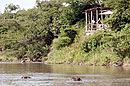 Olonana Camp on the Mara River