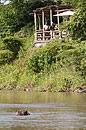Watching Hippo's from the Verandah