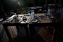 Sunrise on the Verandah at Breakfast