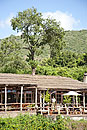 Olonana Safari Camp Blends into Nature 