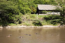 Olonana Tent on the Mara River