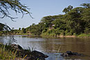 Olonana Camp on the Mara River