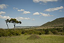 View Near Olonana Camp on the Mara River