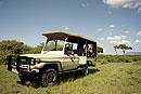Mara View with  Safari Vehicle 