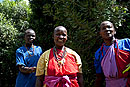 Maasai Women Clay the Main Lodge 