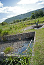 Wetlands Gravel Beds