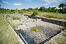 Wetlands Gravel Beds