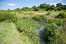 Wetlands Treatment Ponds