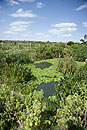 Wetlands Treatment Ponds