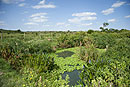 Wetlands Treatment Ponds