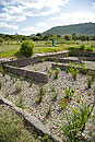 Wetlands Gravel Beds