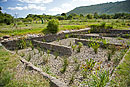 Wetlands Gravel Beds