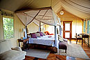 Olonana Permanent Tent Luxury
