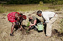Tree Planting Project Olonana 