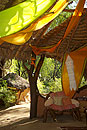 Elephant Watch Luxury