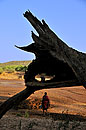 Dramatic Sculptural Landscape Samburu