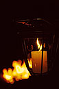Elephant Watch Dining by Camp Fire