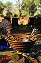 Elephant Detail on Server at Breakfast 