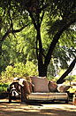 Relax at Elephant Watch 