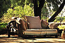 Relax at Elephant Watch 