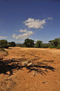 Dramatic Drought Landscape