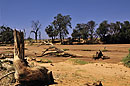 Dramatic Drought Landscape