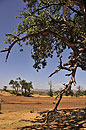 Dramatic Drought Landscape