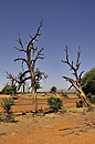 Dramatic Drought Landscape