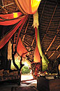 Elephant Watch Colourful Luxury