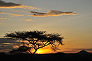Sunset on Evening Walking Safari 