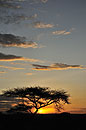 Sunset on Evening Walking Safari 