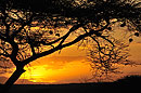 Sunset on Evening Walking Safari 