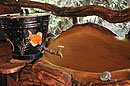 Elephant Watch Unique Hand Basin