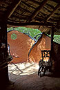 Elephant Watch Bathroom