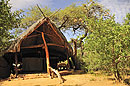 Elephant Watch Tent