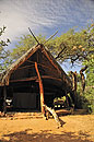Elephant Watch Tent