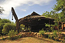 Elephant Watch Tent