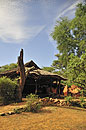 Elephant Watch Tent