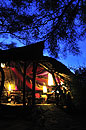 Elephant Watch at Night
