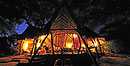 Elephant Watch at Night