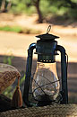Elephant Watch Oil Lamp