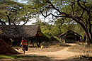 Headquarters of Save The Elephants