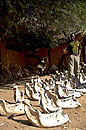 Elephants Jawbones for Research