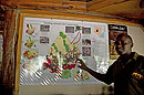 Map Tracking Movements of Individual Elephants 