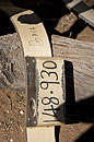 Elephant Tracking Collar