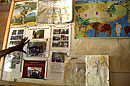 Elephant & Wildlife Education Programme 