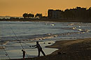 Beach Fishing in Golden Sun