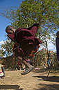 Maasai Landing from a Jump