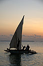 Dhow at Sunrise Raising Sail