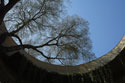 Botanic entrance